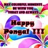 Bright&Colorful Pongal